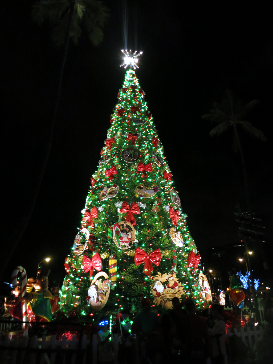 年末年始海外旅行 ハワイでクリスマス サンタと記念撮影 お買い物三昧 三井住友海上 海外旅行保険